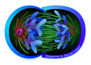ODlab Logo
