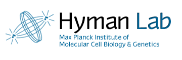 HymanLab Logo